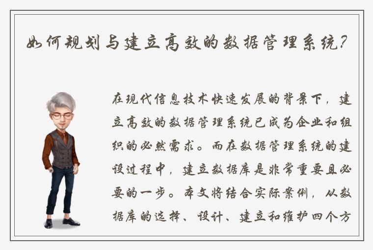 如何规划与建立高效的数据管理系统？