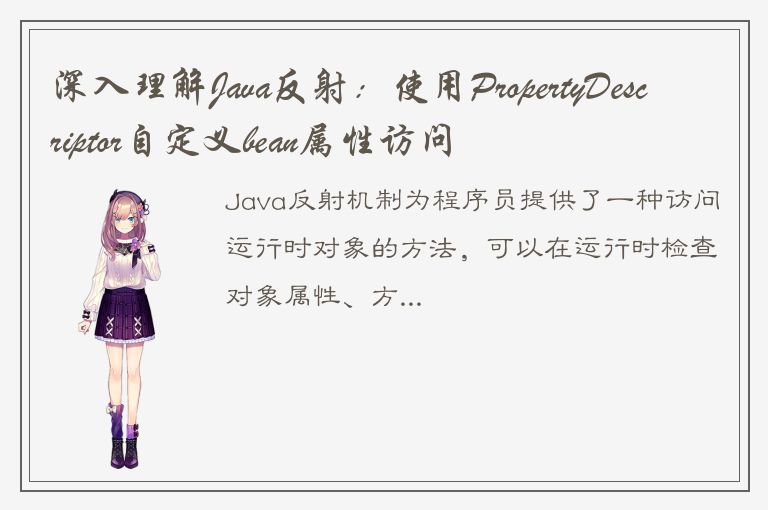 深入理解Java反射：使用PropertyDescriptor自定义bean属性访问