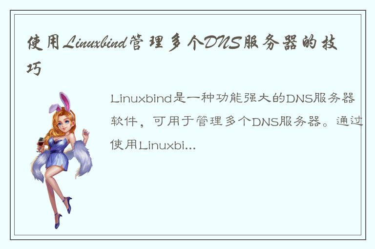 使用Linuxbind管理多个DNS服务器的技巧