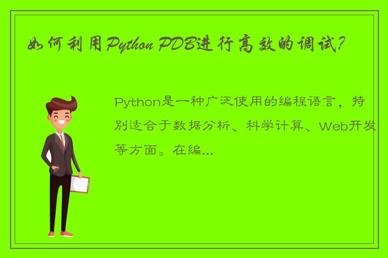 如何利用Python PDB进行高效的调试？