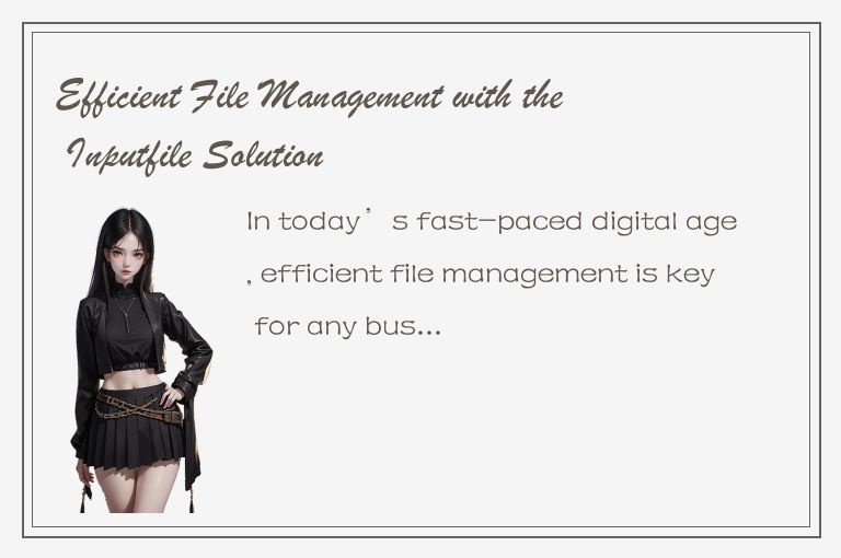 Efficient File Management with the Inputfile Solution