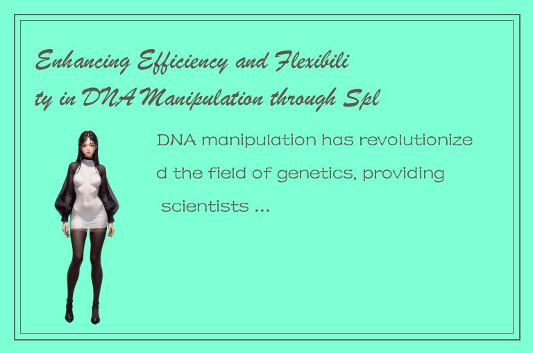 Enhancing Efficiency and Flexibility in DNA Manipulation through Splice Techniqu