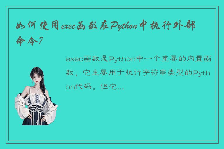 如何使用exec函数在Python中执行外部命令？