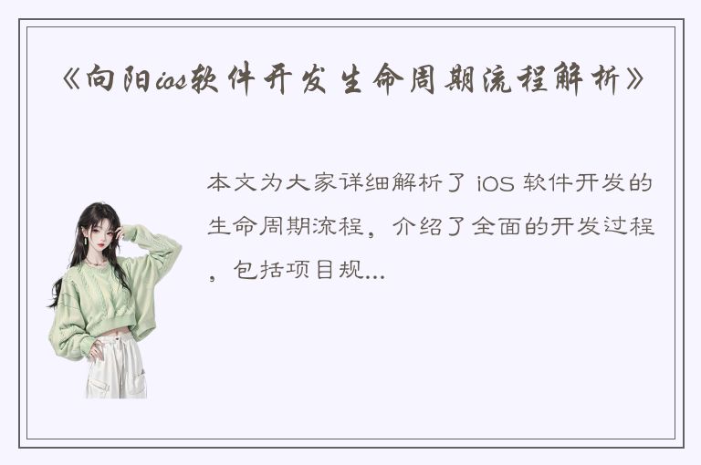 《向阳ios软件开发生命周期流程解析》