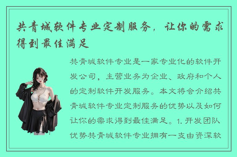 共青城软件专业定制服务，让你的需求得到最佳满足