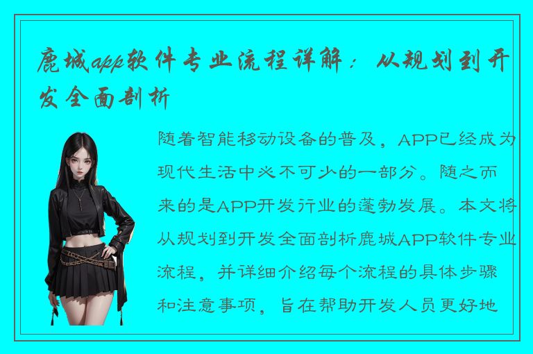 鹿城app软件专业流程详解：从规划到开发全面剖析