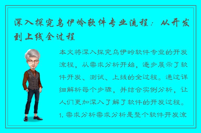 深入探究乌伊岭软件专业流程：从开发到上线全过程