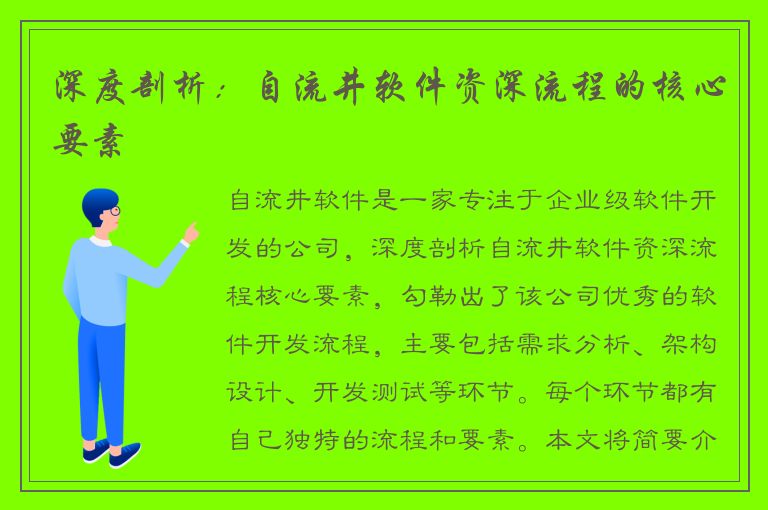 深度剖析：自流井软件资深流程的核心要素