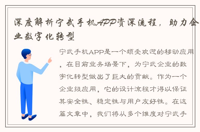 深度解析宁武手机APP资深流程，助力企业数字化转型