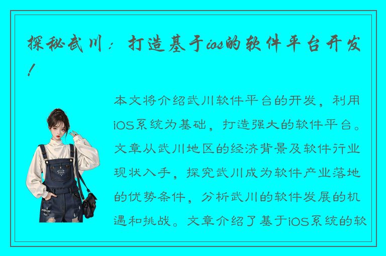 探秘武川：打造基于ios的软件平台开发！