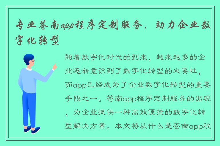 专业苍南app程序定制服务，助力企业数字化转型