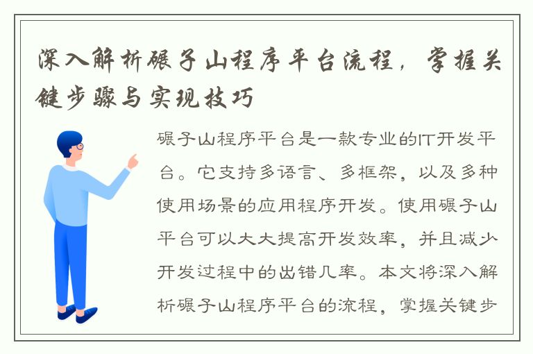 深入解析碾子山程序平台流程，掌握关键步骤与实现技巧