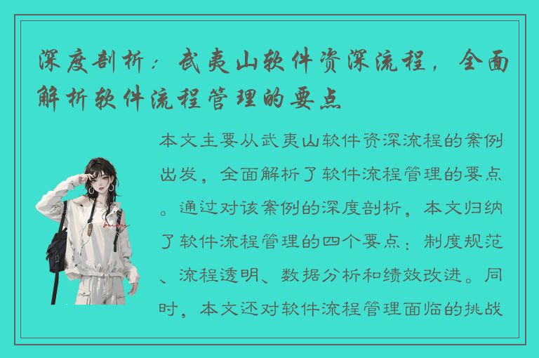 深度剖析：武夷山软件资深流程，全面解析软件流程管理的要点