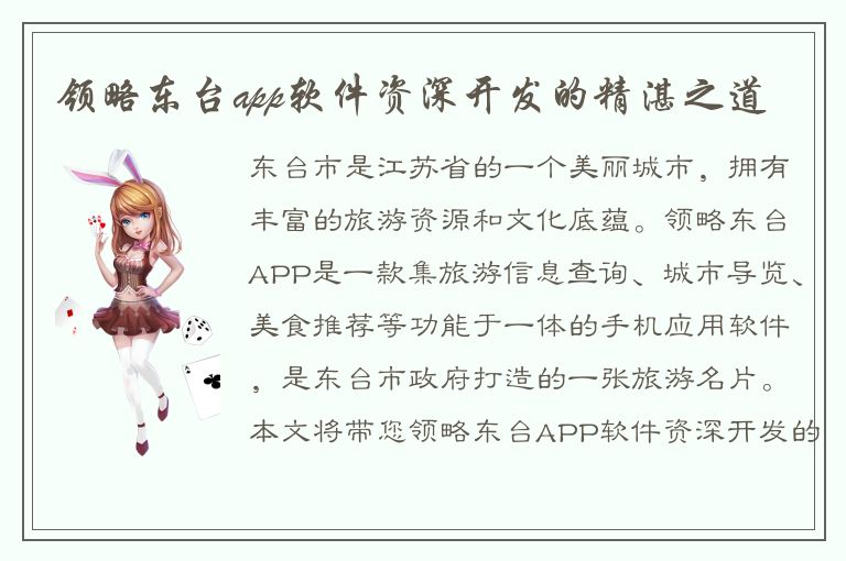 领略东台app软件资深开发的精湛之道