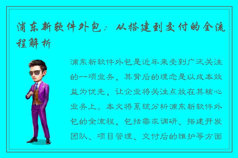 浦东新软件外包：从搭建到交付的全流程解析