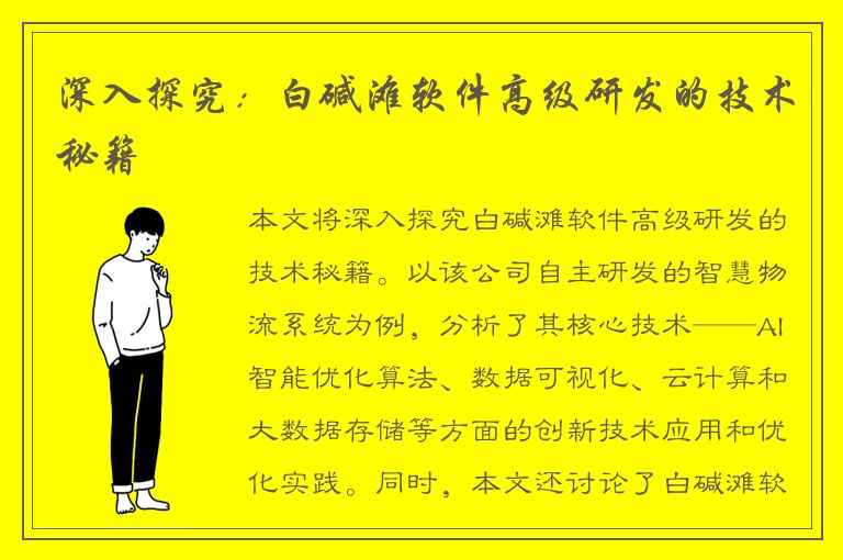 深入探究：白碱滩软件高级研发的技术秘籍