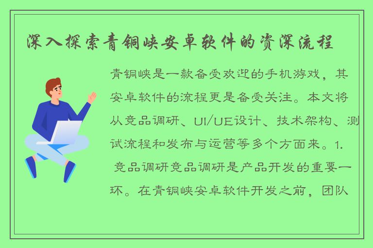 深入探索青铜峡安卓软件的资深流程