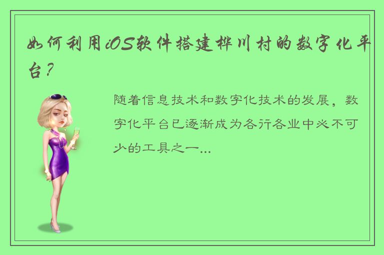 如何利用iOS软件搭建桦川村的数字化平台？