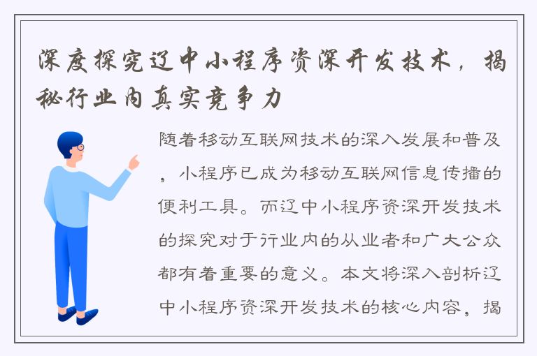 深度探究辽中小程序资深开发技术，揭秘行业内真实竞争力