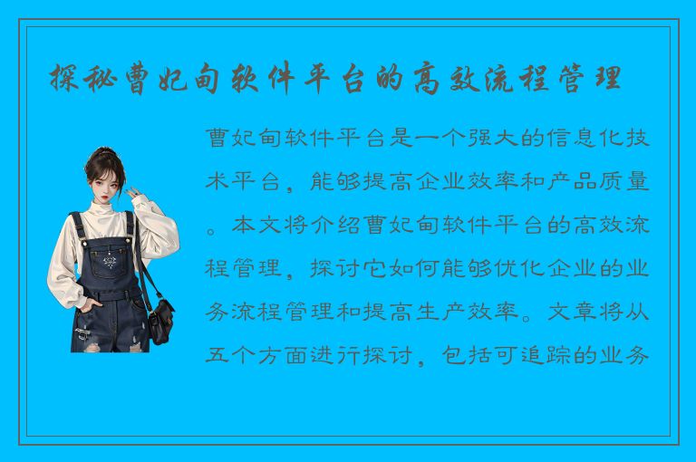 探秘曹妃甸软件平台的高效流程管理