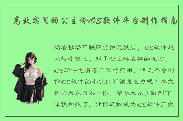 高效实用的公主岭iOS软件平台制作指南