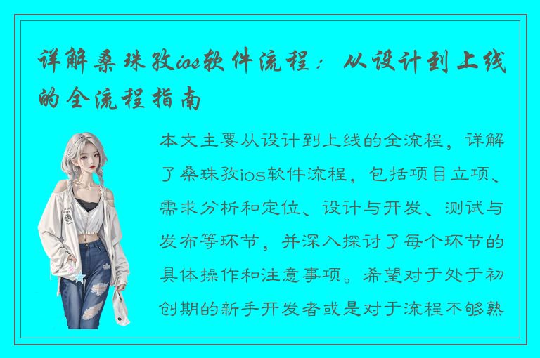 详解桑珠孜ios软件流程：从设计到上线的全流程指南