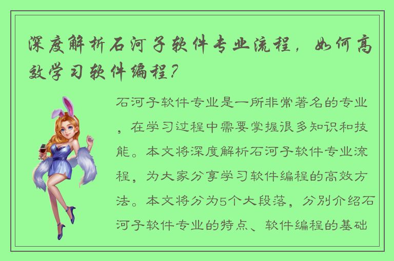 深度解析石河子软件专业流程，如何高效学习软件编程？