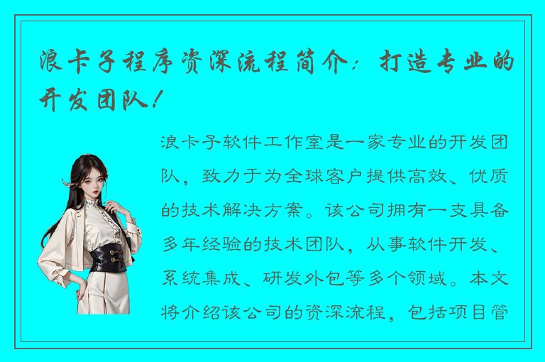 浪卡子程序资深流程简介：打造专业的开发团队！