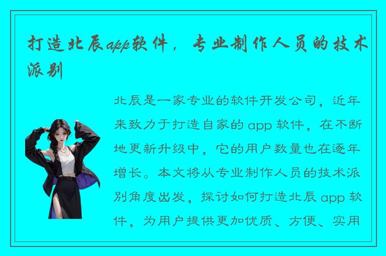 打造北辰app软件，专业制作人员的技术派别