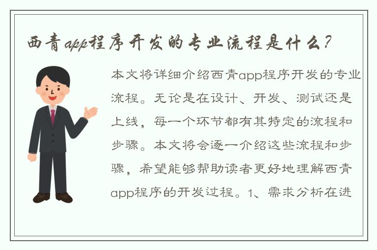 西青app程序开发的专业流程是什么？