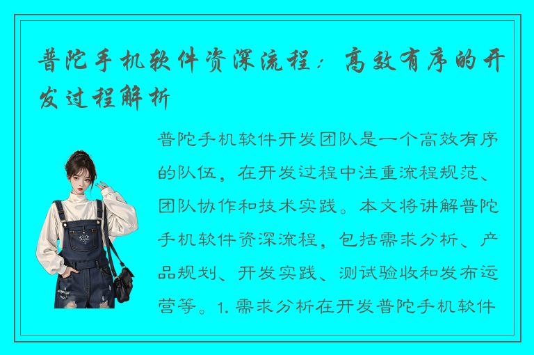 普陀手机软件资深流程：高效有序的开发过程解析