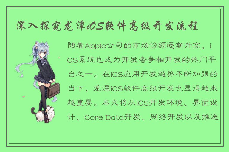 深入探究龙潭iOS软件高级开发流程