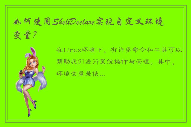 如何使用ShellDeclare实现自定义环境变量？