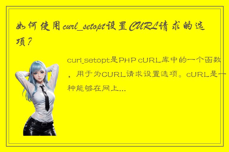 如何使用curl_setopt设置CURL请求的选项？