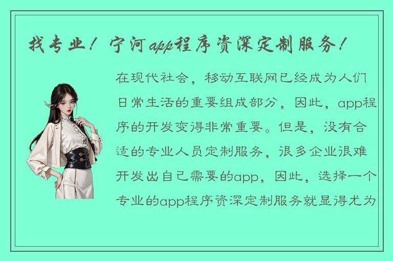 找专业！宁河app程序资深定制服务！