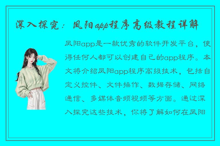 深入探究：凤阳app程序高级教程详解