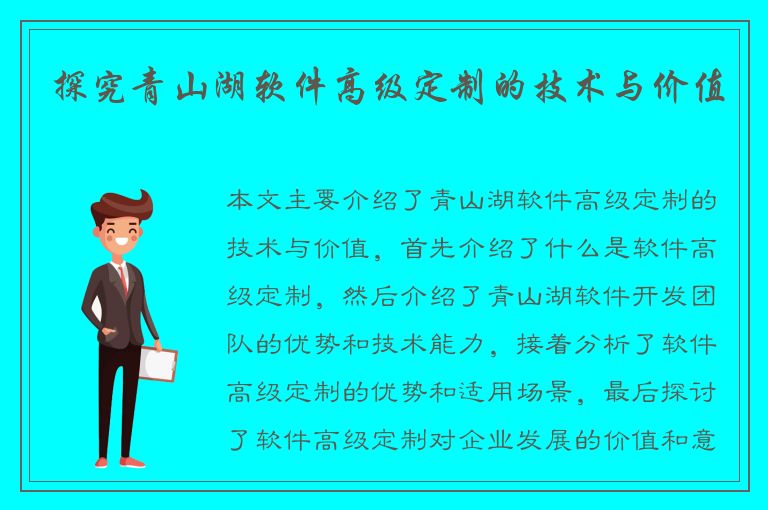 探究青山湖软件高级定制的技术与价值