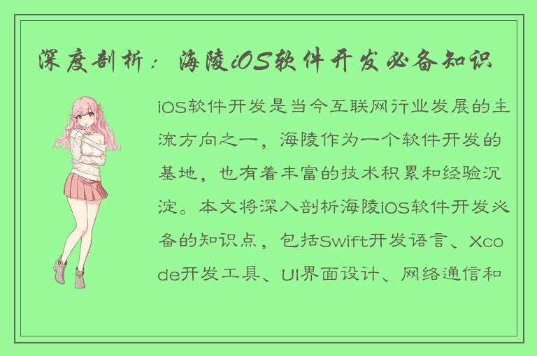 深度剖析：海陵iOS软件开发必备知识