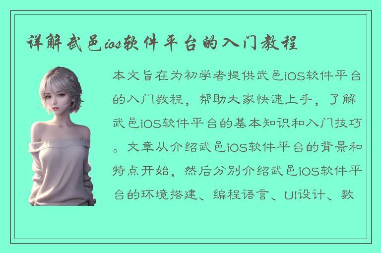 详解武邑ios软件平台的入门教程