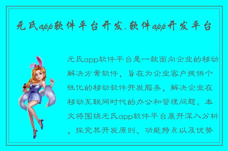 元氏app软件平台开发,软件app开发平台