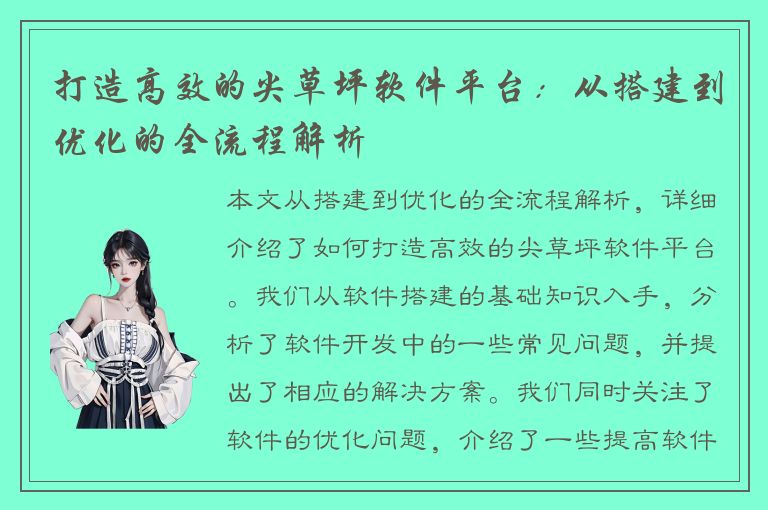 打造高效的尖草坪软件平台：从搭建到优化的全流程解析