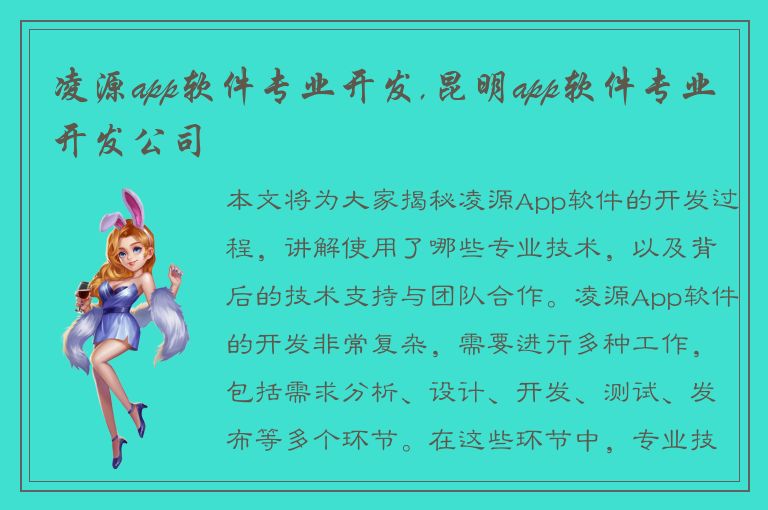 凌源app软件专业开发,昆明app软件专业开发公司