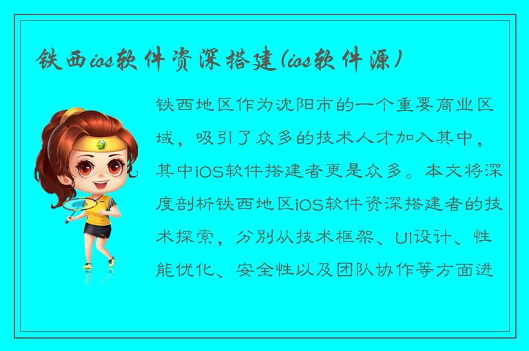 铁西ios软件资深搭建(ios软件源)