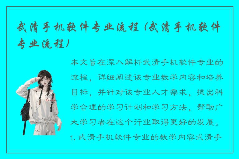 武清手机软件专业流程 (武清手机软件专业流程)