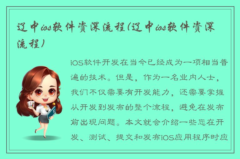 辽中ios软件资深流程(辽中ios软件资深流程)