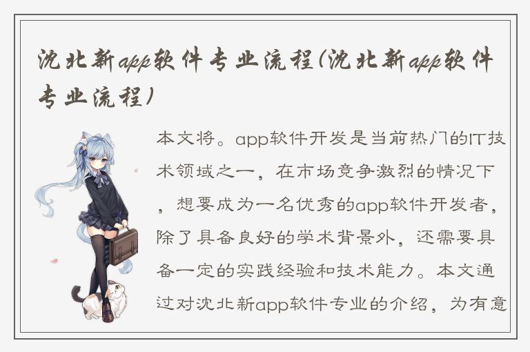 沈北新app软件专业流程(沈北新app软件专业流程)