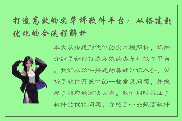 打造高效的尖草坪软件平台：从搭建到优化的全流程解析