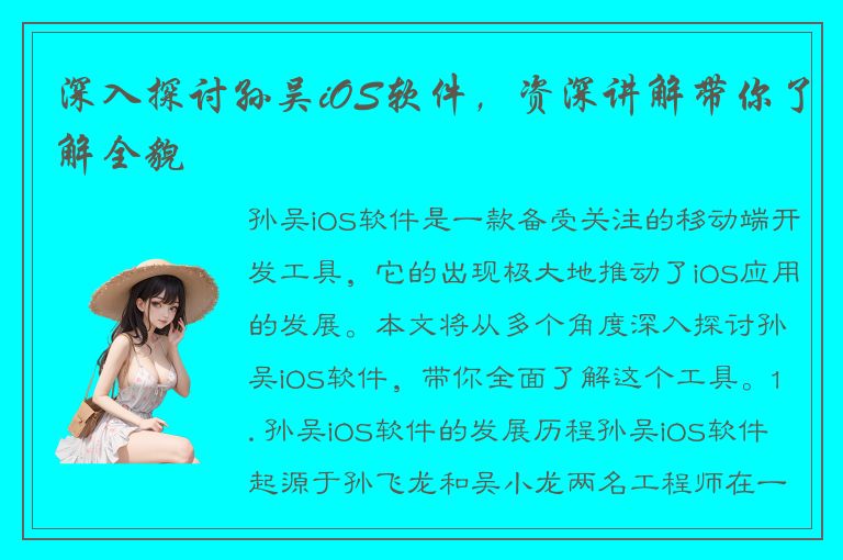 深入探讨孙吴iOS软件，资深讲解带你了解全貌