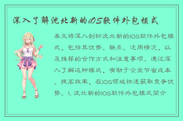 深入了解沈北新的iOS软件外包模式