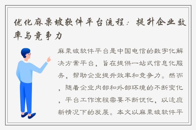 优化麻栗坡软件平台流程：提升企业效率与竞争力